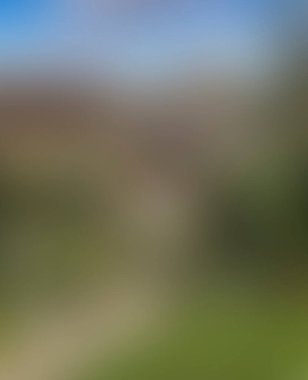 Abstract blur background of colors mixed 