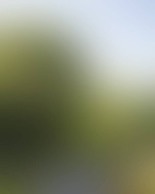 Abstract blur background of colors mixed 