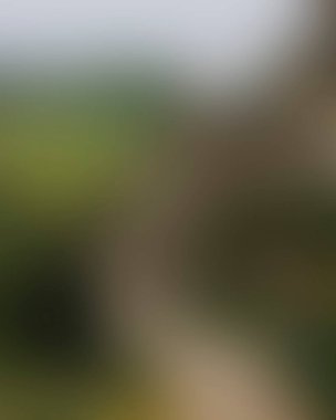 Abstract blur background of colors mixed 