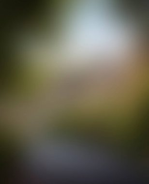 Abstract blur background of colors mixed 