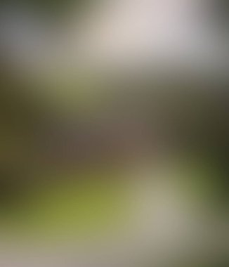 Abstract blur background of colors mixed 