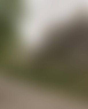 Abstract blur background of colors mixed 