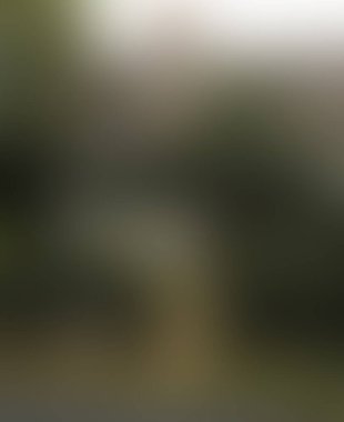 Abstract blur background of colors mixed 