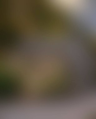 Abstract blur background of colors mixed 