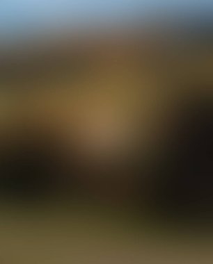 Abstract blur background of colors mixed 