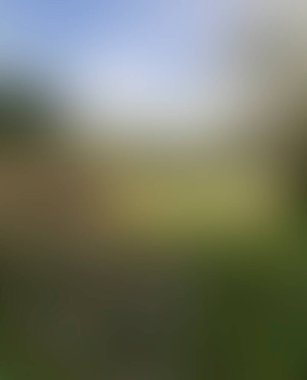 Abstract blur background of colors mixed 