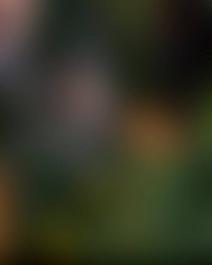 Abstract blur background of colors mixed 