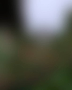 Abstract blur background of colors mixed 