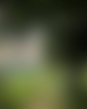 Abstract blur background of colors mixed 