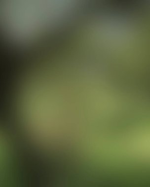 Abstract blur background of colors mixed 