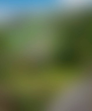 Abstract blur background of colors mixed 