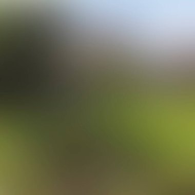 Abstract blur background of colors mixed 