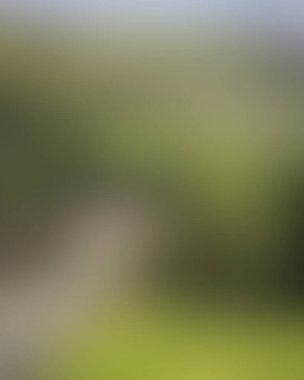 Abstract blur background of colors mixed 