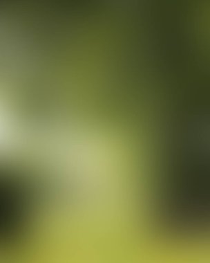 Abstract blur background of colors mixed 