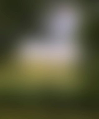 Abstract blur background of colors mixed 