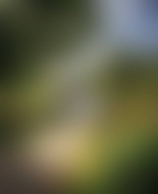 Abstract blur background of colors mixed 