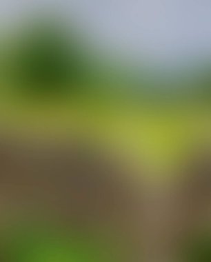 Abstract blur background of colors mixed 