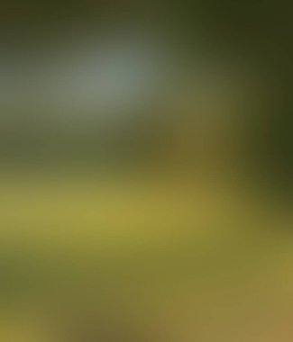 Abstract blur background of colors mixed 