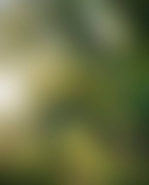 Abstract blur background of colors mixed 