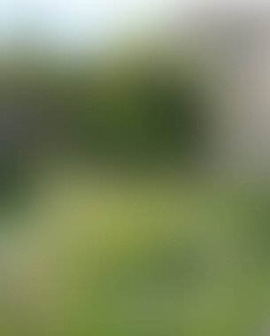 Abstract blur background of colors mixed 