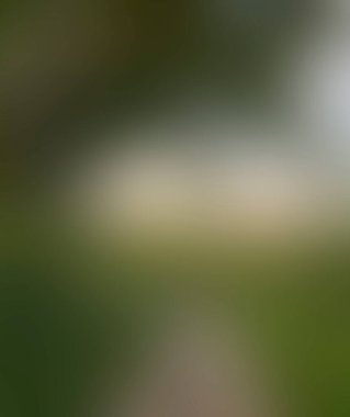 Abstract blur background of colors mixed 