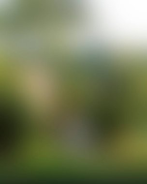 Abstract blur background of colors mixed 