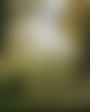 Abstract blur background of colors mixed 