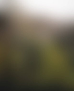 Abstract blur background of colors mixed 