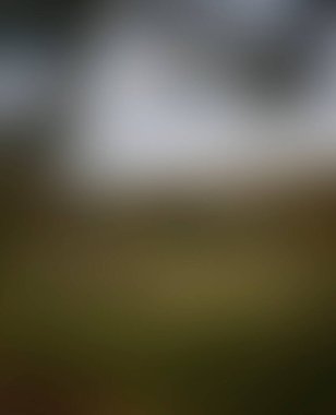 Abstract blur background of colors mixed 