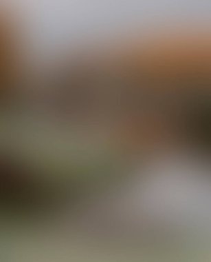 Abstract blur background of colors mixed 