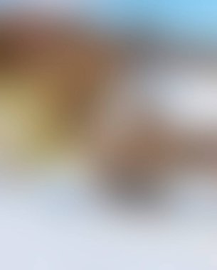 Abstract blur background of colors mixed 