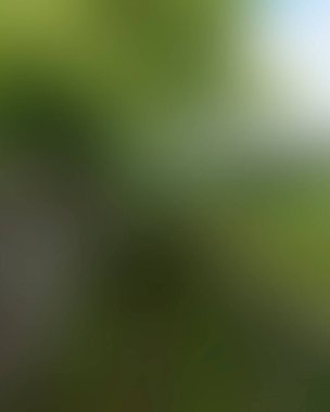 Abstract blur background of colors mixed 