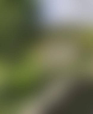 Abstract blur background of colors mixed 