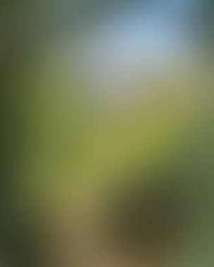 Abstract blur background of colors mixed 