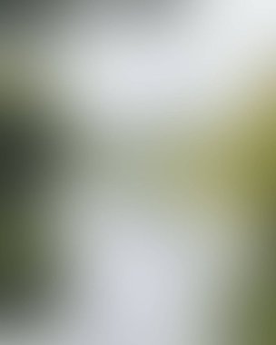 Abstract blur background of colors mixed 