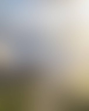 Abstract blur background of colors mixed 