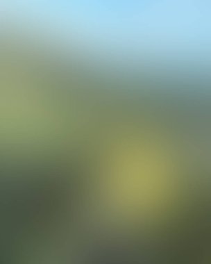 Abstract blur background of colors mixed 