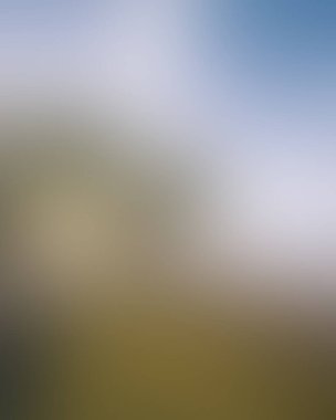 Abstract blur background of colors mixed 