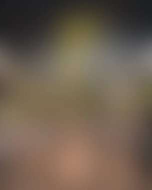 Abstract blur background of colors mixed 