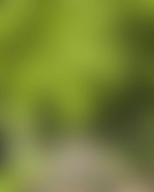 Abstract blur background of colors mixed 