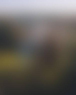 Abstract blur background of colors mixed 