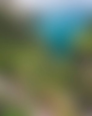 Abstract blur background of colors mixed 