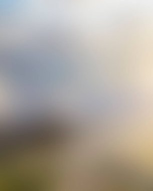 Abstract blur background of colors mixed 