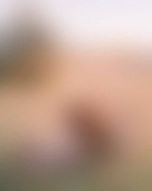 Abstract blur background of colors mixed 