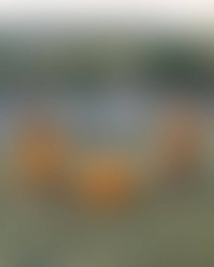 Abstract blur background of colors mixed 