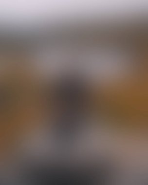 Abstract blur background of colors mixed 