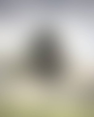 Abstract blur background of colors mixed