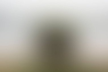 Abstract blur background of colors mixed