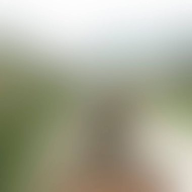 Abstract blur background of colors mixed