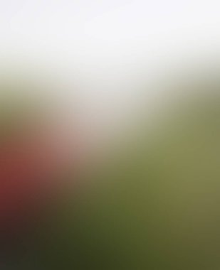 Abstract blur background of colors mixed